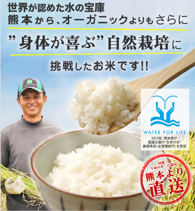 日本最大の 熊本菊池川で育てた自然農法わけあり玄米30㎏ にこまる令和