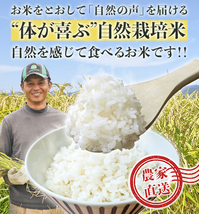 自然栽培米を農家直送｜命を養う玄米通販