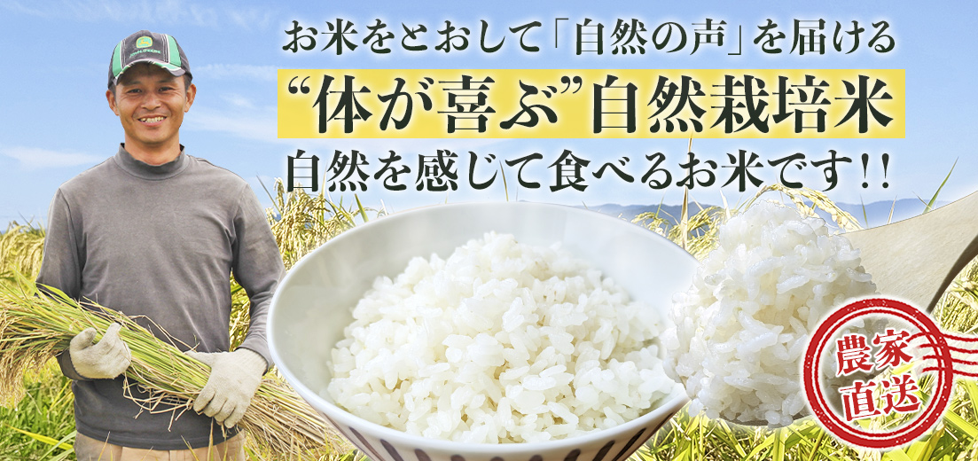 熊本県の自然栽培米