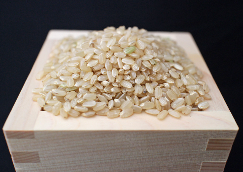自然栽培米と無農薬栽培米の違いとは！？
