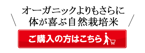 購入ボタン