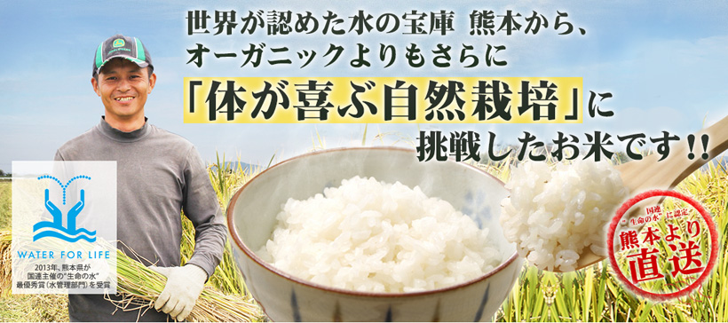 熊本自然栽培米サイト