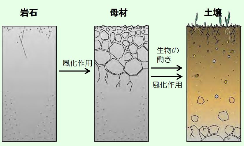 自然の教え6-ナチュラルスタイル井田 敦之- | 熊本自然栽培米を農家直送-無農薬よりもさらに体が喜ぶ自然栽培のお米-