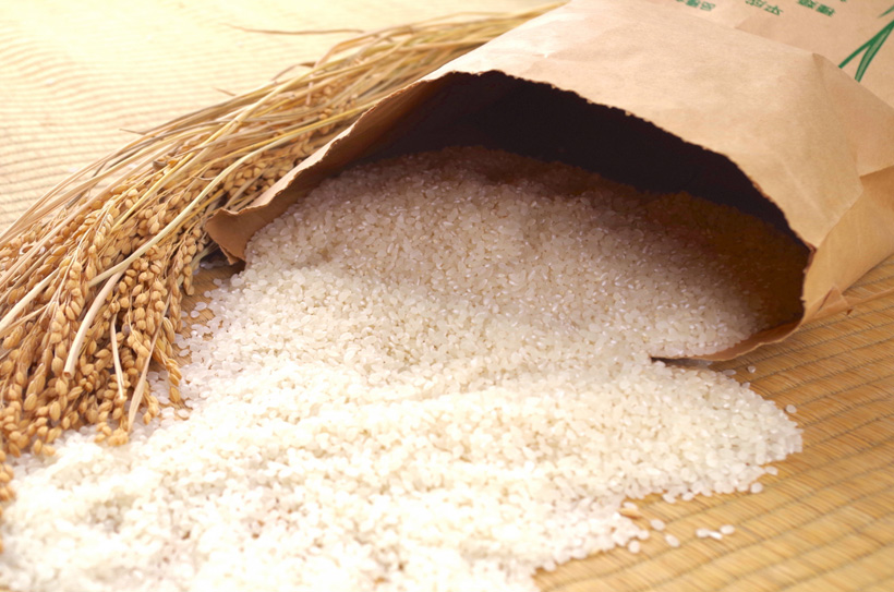なぜ、自然栽培米ならアレルギーの人でも安心安全なのか？