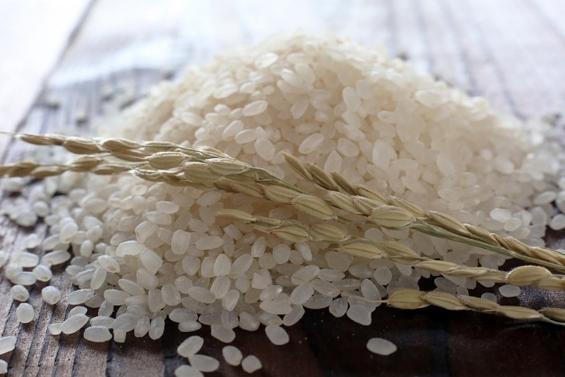 【たった2株！】の神様が植えたお米、その名もイセヒカリ