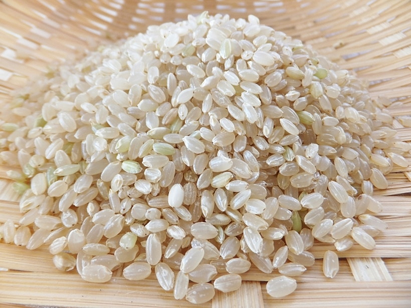 掛け干し米　古米　令和4年度産　無農薬　自然農法　玄米　ひとめぼれ　20kg-