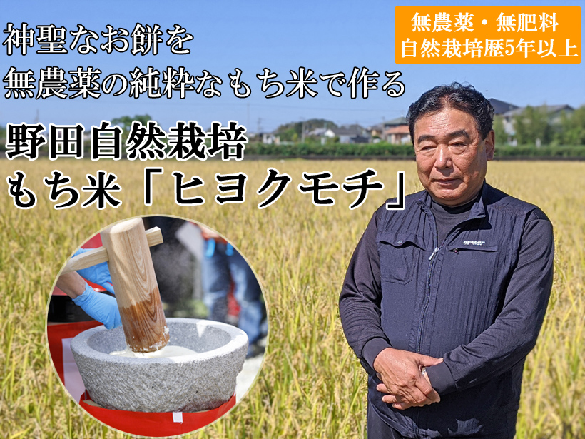 野田自然栽培米もち米ヒヨクモチ|無農薬・無肥料のもち米 | 熊本自然