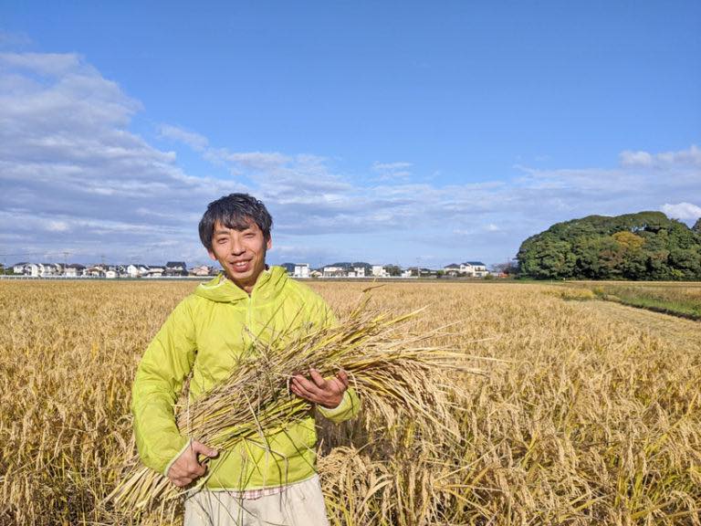 初のもち米】無農薬・無肥料の美味しいもち米 | 熊本自然栽培米を農家直送|無農薬より安全を求めたお米通販