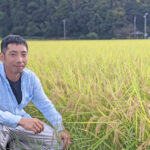 【日本一のもち米】無農薬の滋賀羽二重糯を選んだ理由