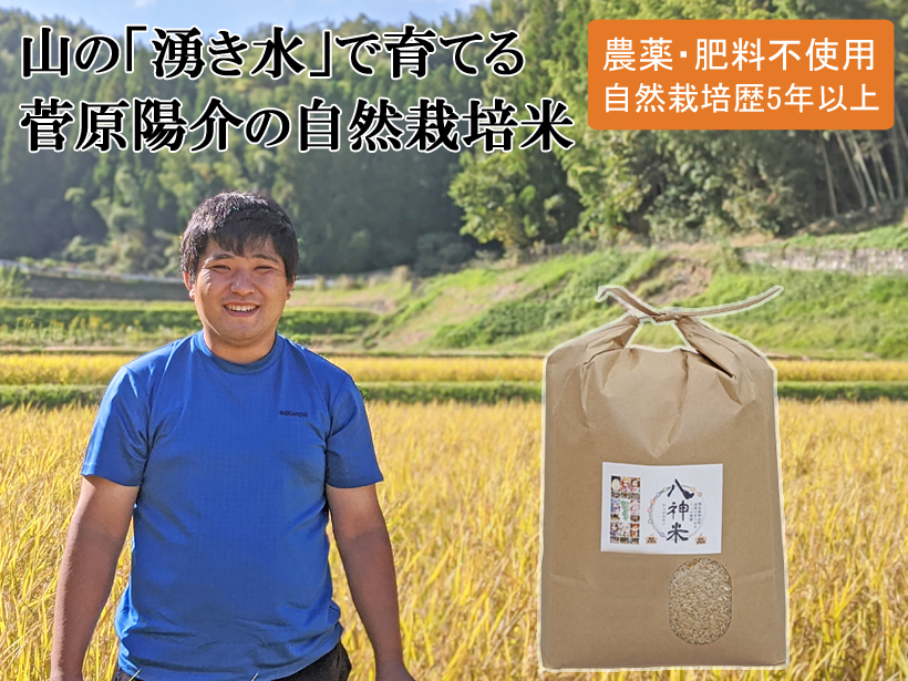 菅原陽介の自然栽培米「八神米」