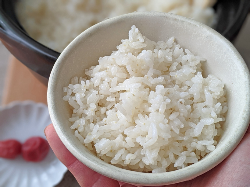 菅原自然栽培米のご飯