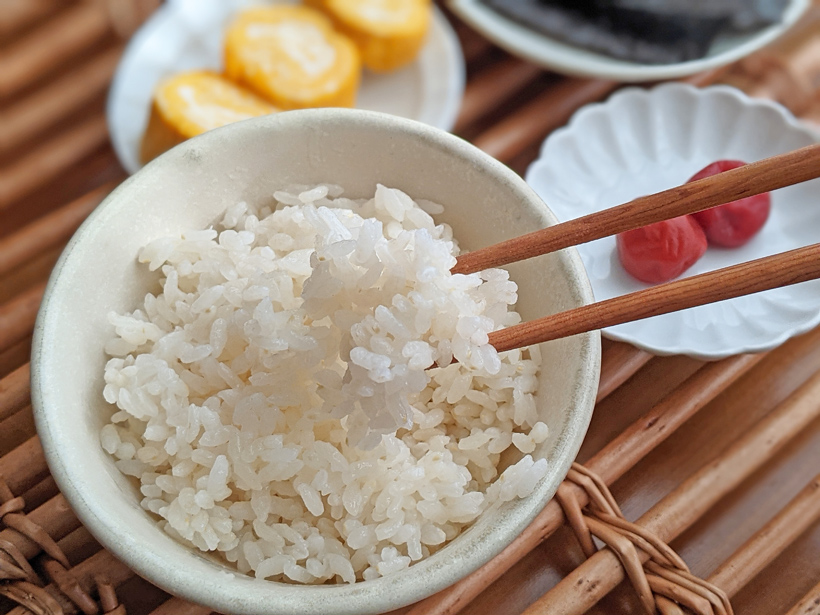 自然栽培米朝食