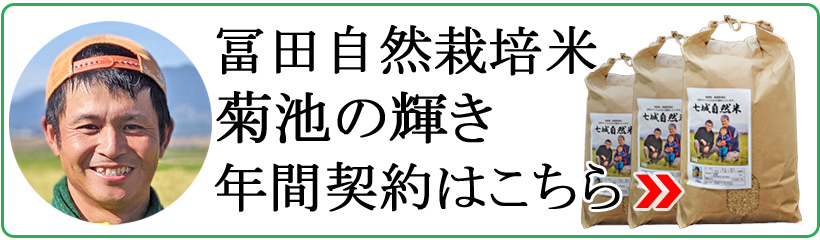冨田自然栽培米菊池の輝き年間契約終了