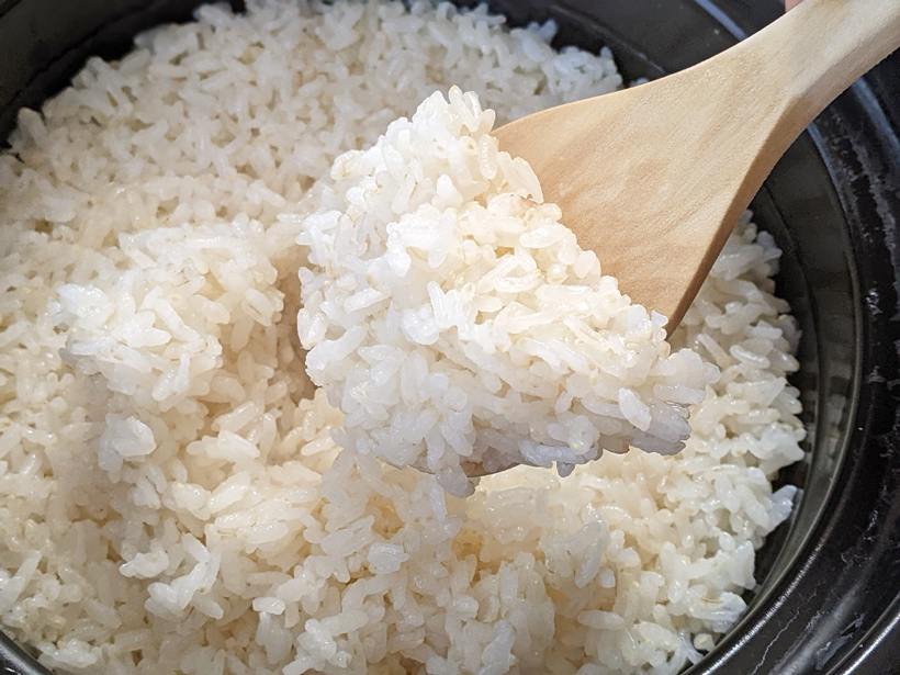 安藤自然栽培米7分搗きご飯
