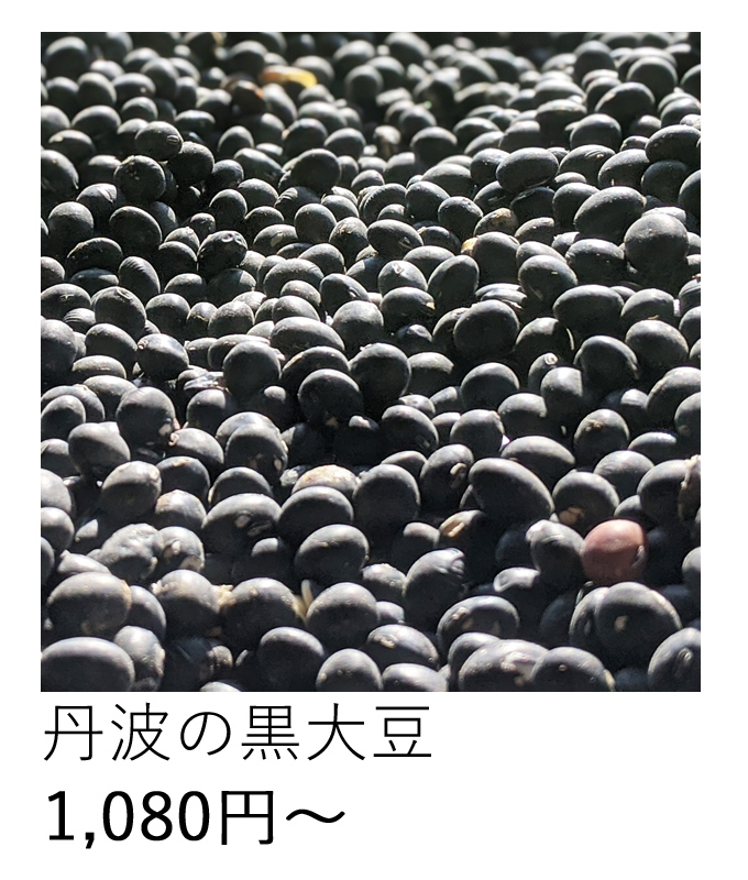 自然栽培丹波の黒大豆