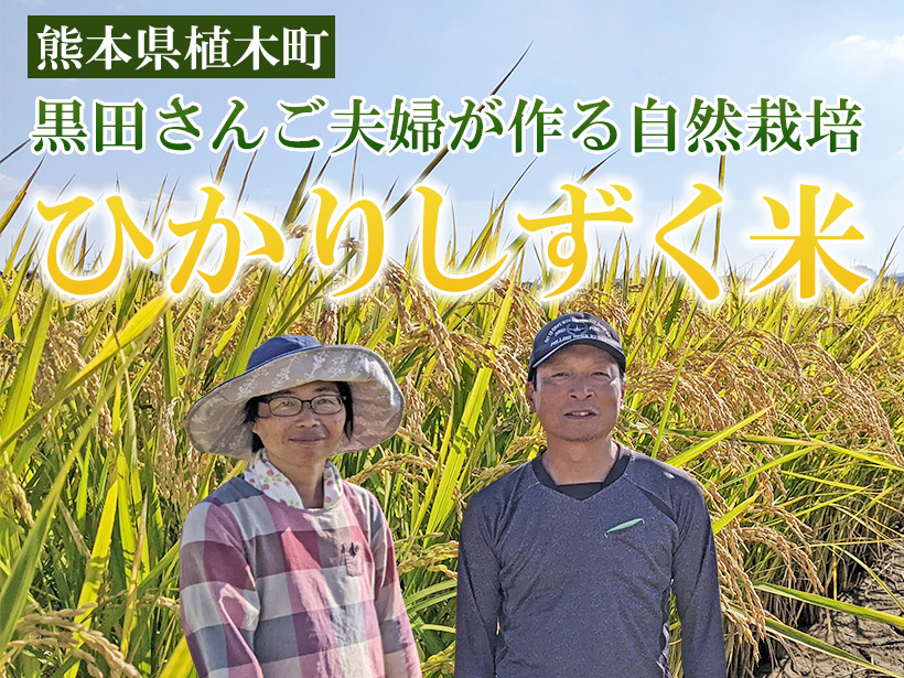 黒田自然栽培ひかりしずく米