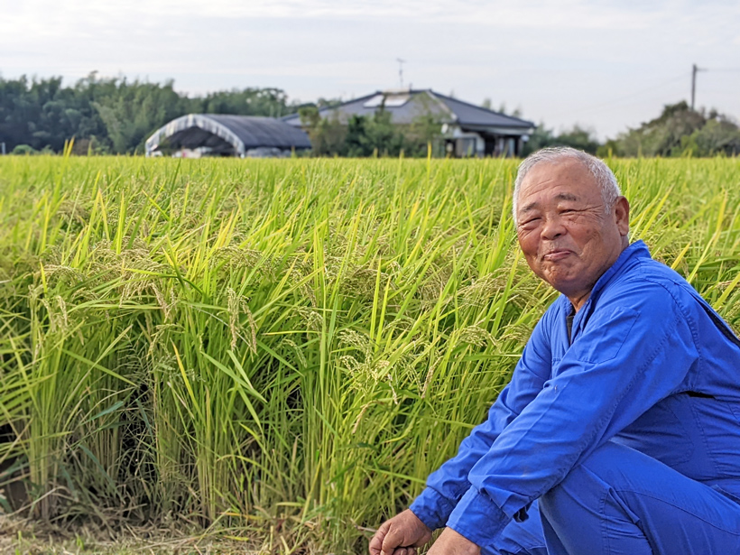自然栽培米農家植田さんと稲