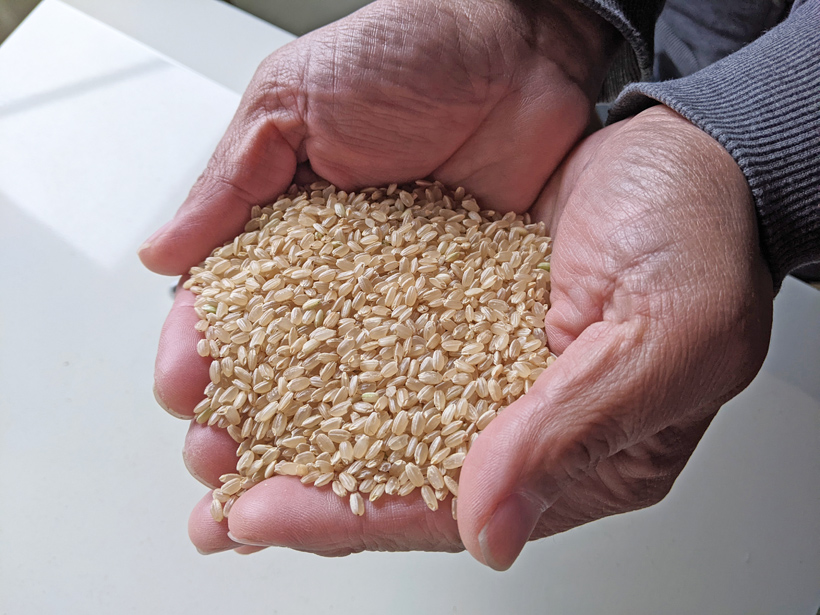 縄田自然栽培米