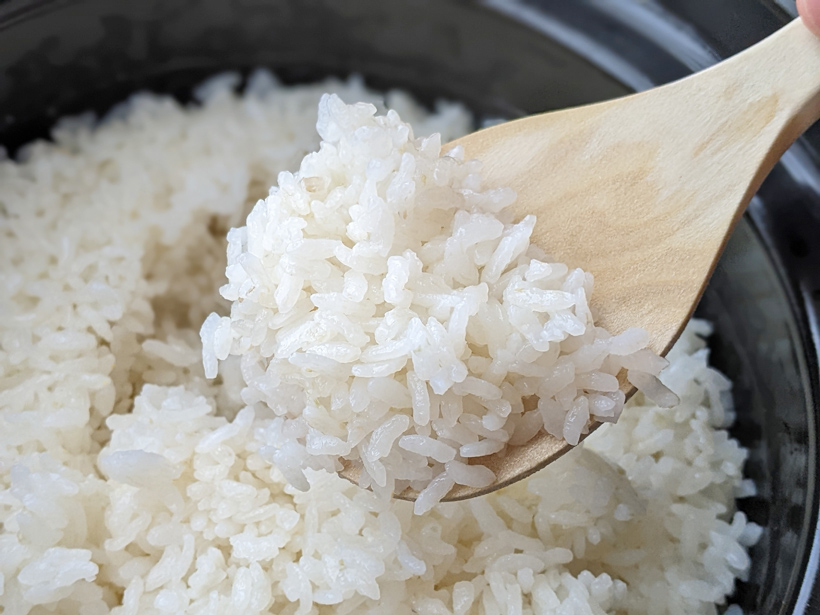 自然栽培米にこまるのご飯