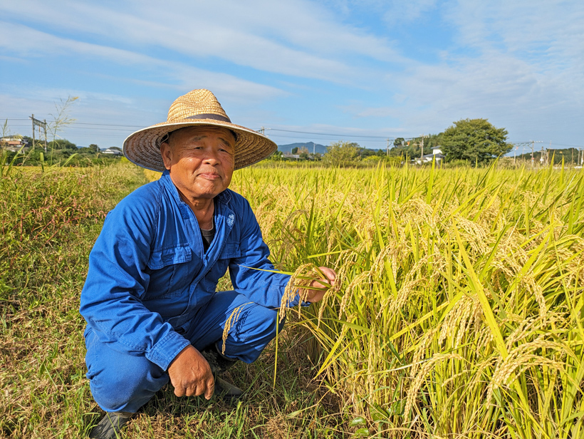 植田さんと自然栽培米の稲