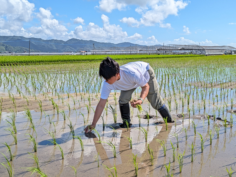 塚田美恵さんの補植