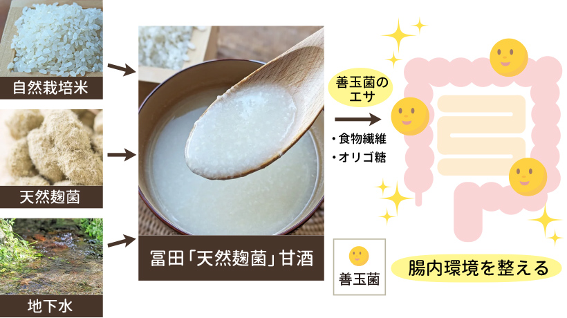 腸内細菌と甘酒の関係