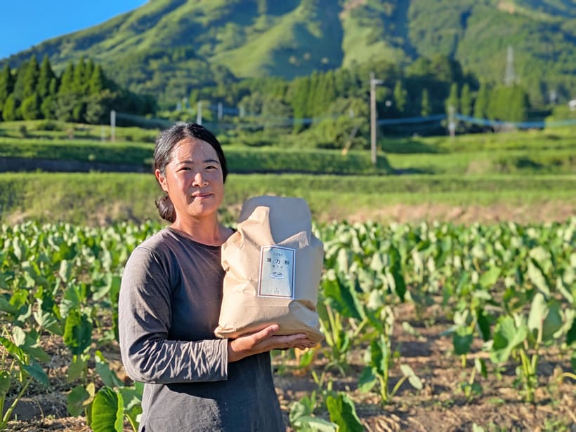 自然栽培小麦農家：吉田千芳子
