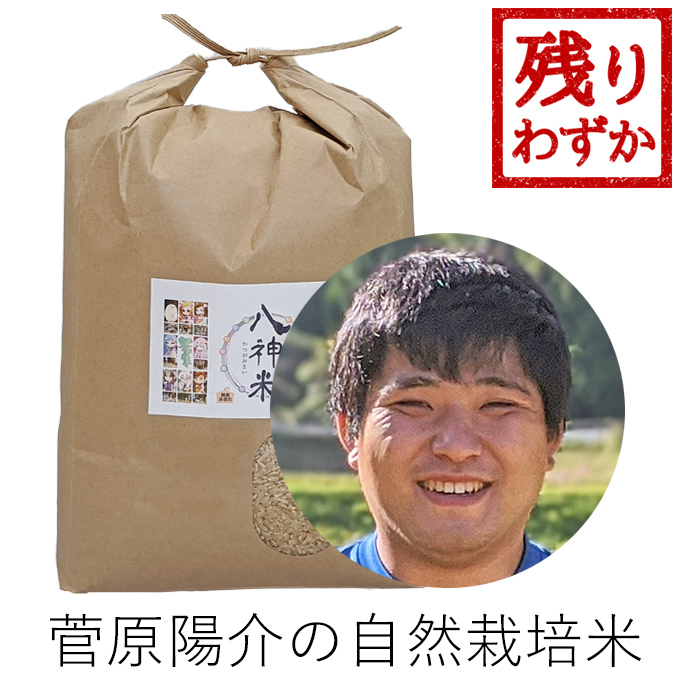 菅原自然栽培米