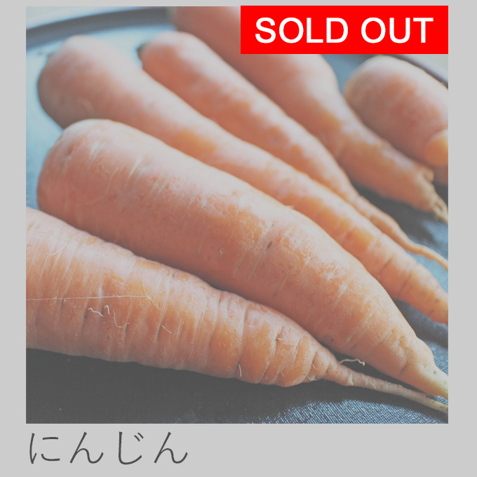 自然栽培にんじん