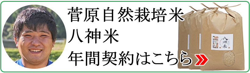 菅原自然栽培米八神米年間契約