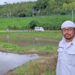 縄田田植え体験