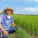 自然栽培米農家安藤光一